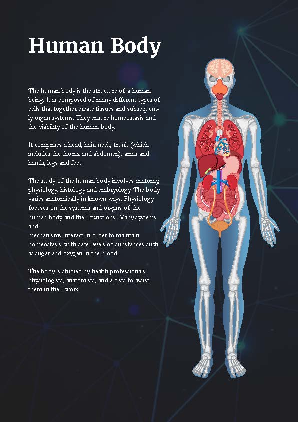 The Complete Human Anatomy