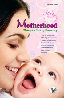 Motherhood….Through A Year Of Pregnancy