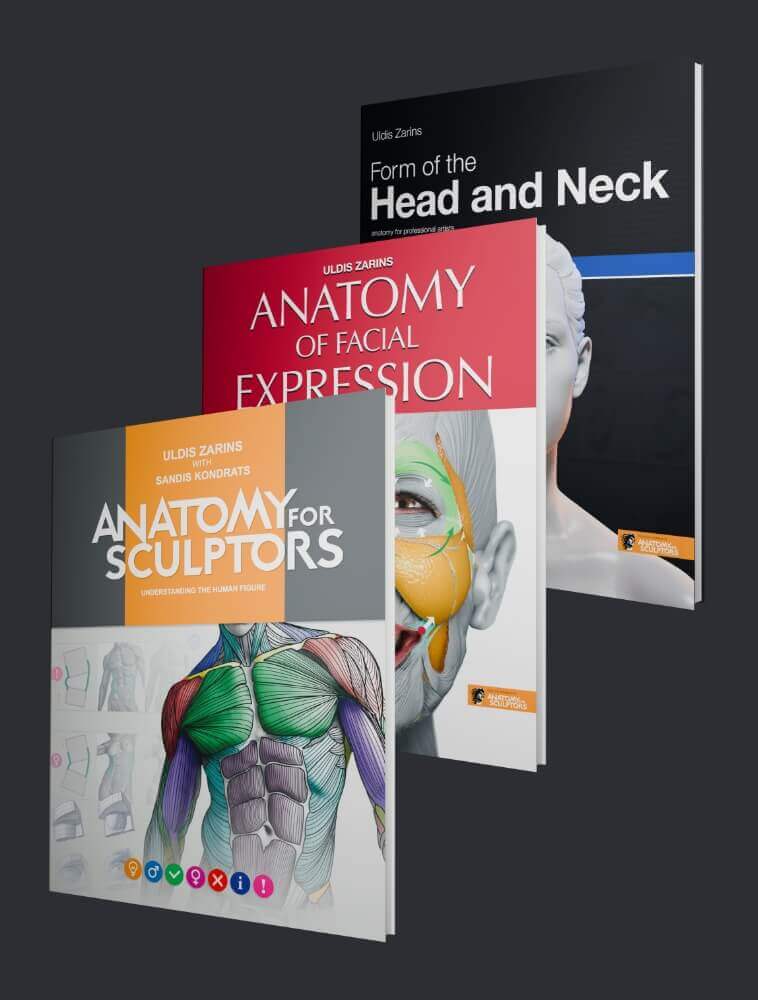 Anatomy For Sculptors Book Series